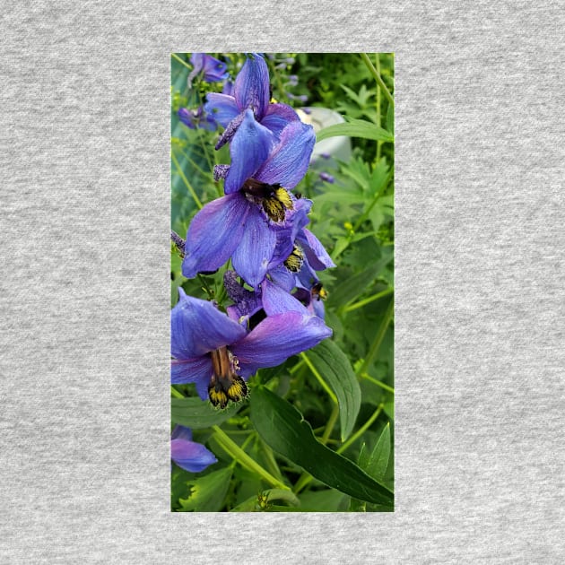 Close up purple delphinium by Kim-Pratt